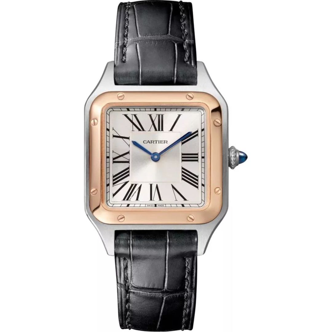 Cartier Santos-Dumont W2SA0012 Silver